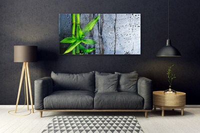 Akrylglas foto Bambusblad Plante Natur