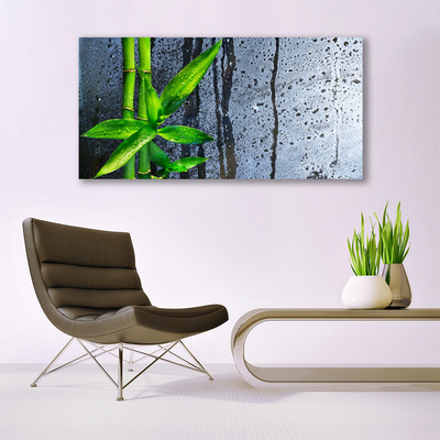 Akrylglas foto Bambusblad Plante Natur