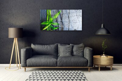 Akrylglas foto Bambusblad Plante Natur