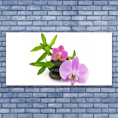 Akryl billede Flower Orchid Plant