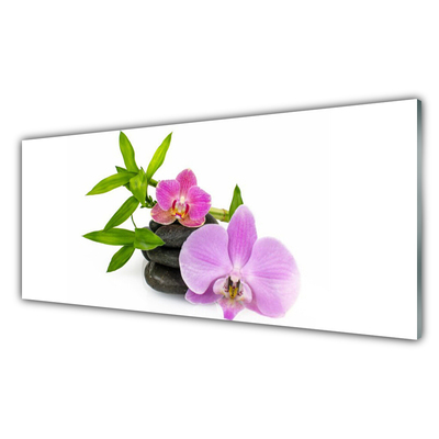 Akryl billede Flower Orchid Plant