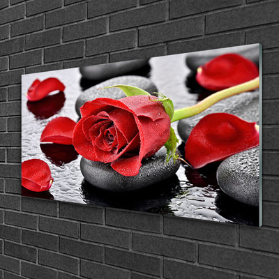 Akrylglas foto Red Rose Flower