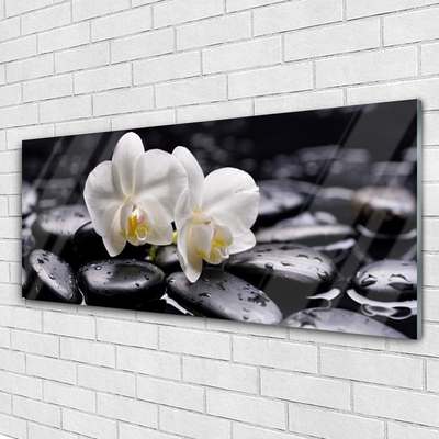 Akrylglas foto Zen White Orchid Spa