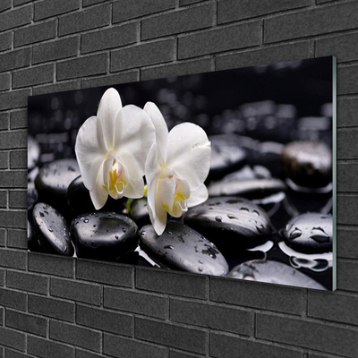 Akrylglas foto Zen White Orchid Spa