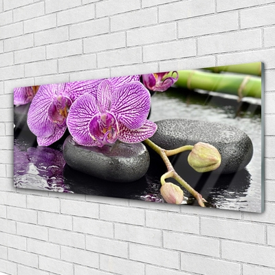 Akryl billede Orchid Zen Orchid Spa