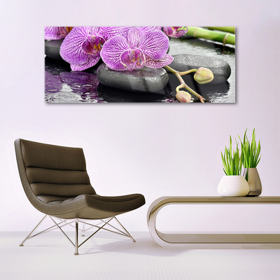 Akryl billede Orchid Zen Orchid Spa