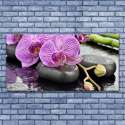 Akryl billede Orchid Zen Orchid Spa