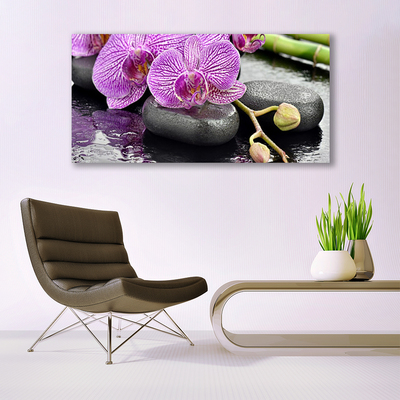 Akryl billede Orchid Zen Orchid Spa