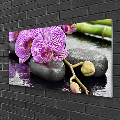 Akryl billede Orchid Zen Orchid Spa