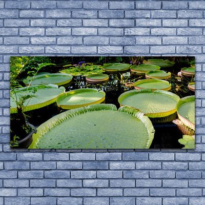 Akrylglas foto Blad Sø Natur