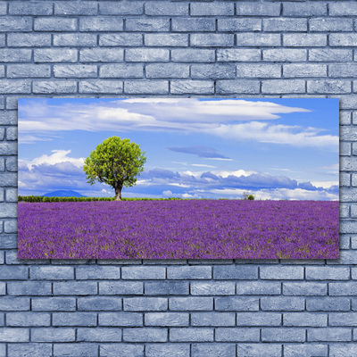 Akrylglas foto Lavendel Mark Træ Natur