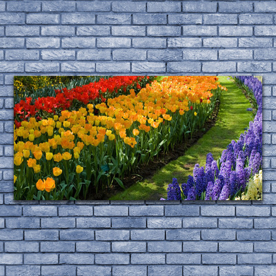 Akryl billede Blomster Have Tulipaner