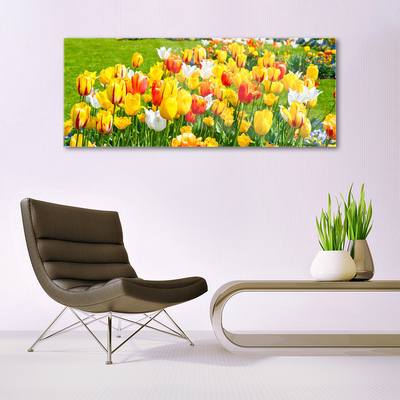 Foto på akryl Tulipaner Blomster Natur