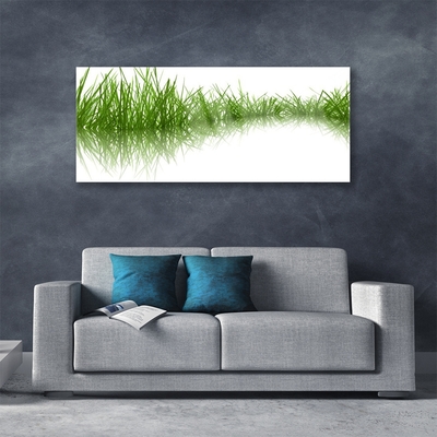 Akrylglas foto Grass Nature Plant