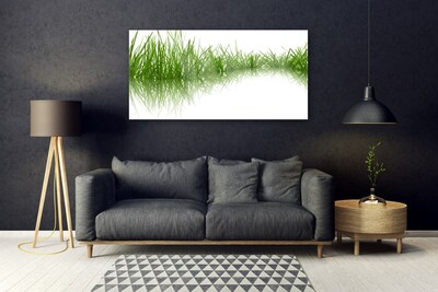 Akrylglas foto Grass Nature Plant