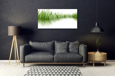 Akrylglas foto Grass Nature Plant