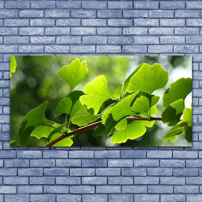 Akrylglas foto Grene Løv Natur Træ