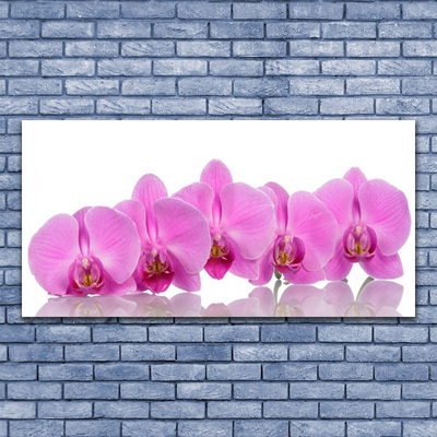 Akrylglas foto Pink Orchid Flower