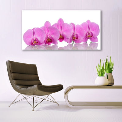 Akrylglas foto Pink Orchid Flower