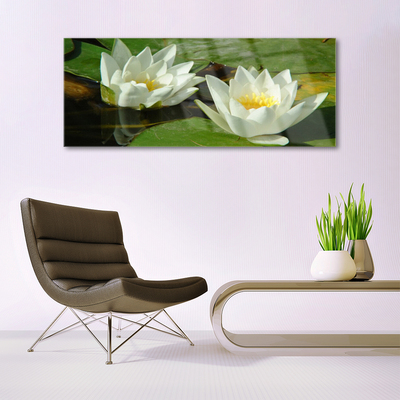 Akrylglas foto Blomster Planter Natur