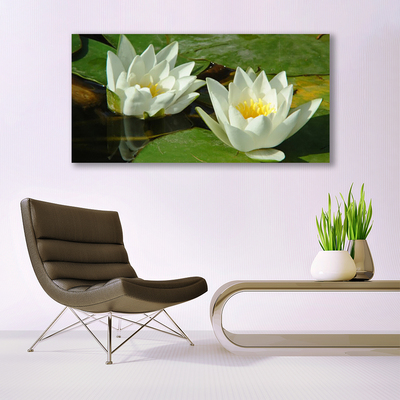 Akrylglas foto Blomster Planter Natur