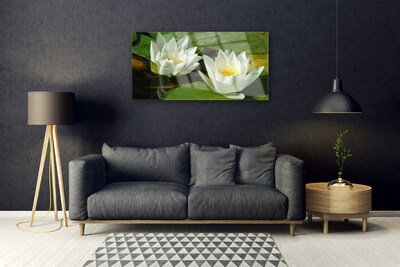 Akrylglas foto Blomster Planter Natur