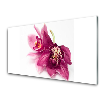 Billede på akrylglas Blomster Planter Natur