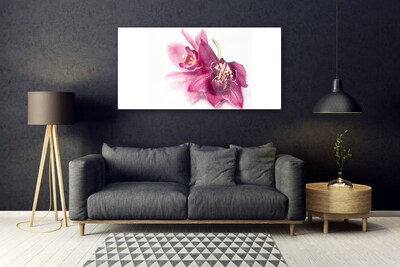 Billede på akrylglas Blomster Planter Natur
