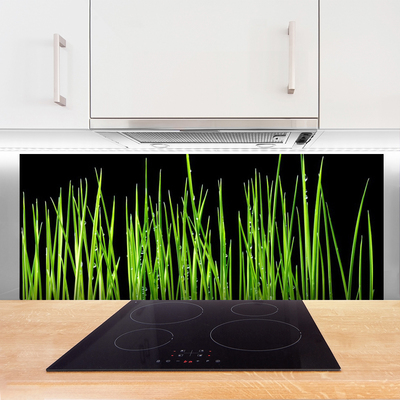 Stænkplade glas Grass Plant