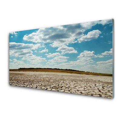 Stænkplade glas Ørkenlandskab Sand