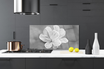 Glas stænkplade til køkken Blomster Plante