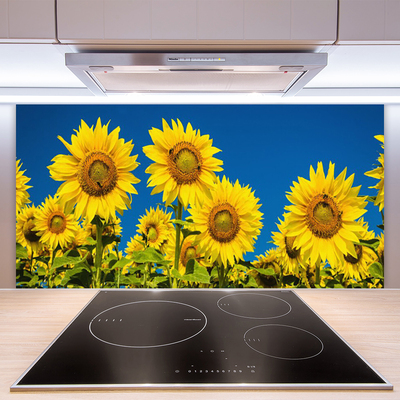 Vægpanel køkken Sunflowers Plant