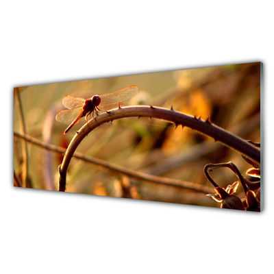 Stænkplade glas Dragonfly Nature Plant