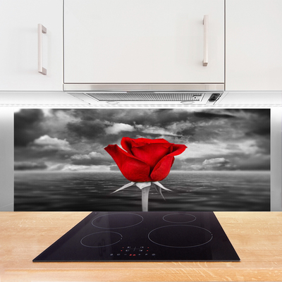 Stænkplade glas Rose Flower Plant Sea