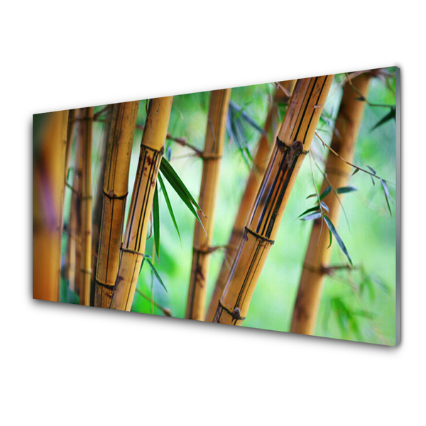 Stænkplade køkken Bamboo Nature Plant