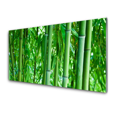 Glas stænkplade til køkken Bamboo Stem Plant