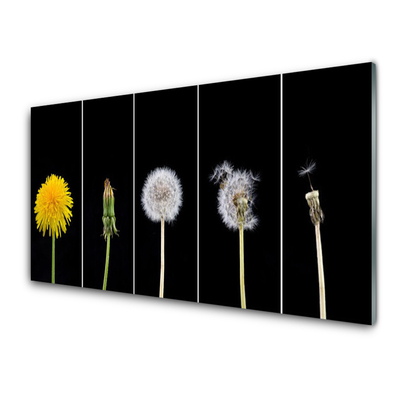 Stænkplade glas Dandelion Plant