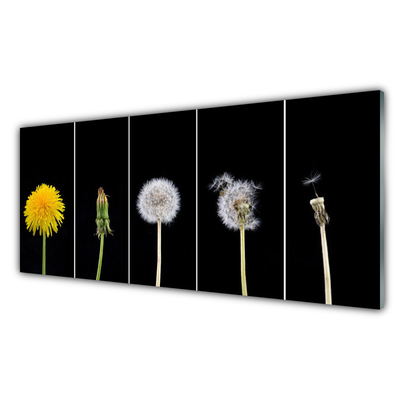 Stænkplade glas Dandelion Plant