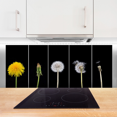 Stænkplade glas Dandelion Plant