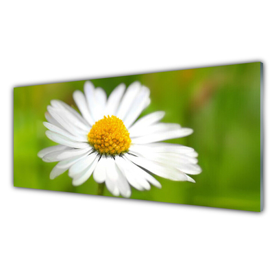 Vægpanel køkken Daisy Nature Plant