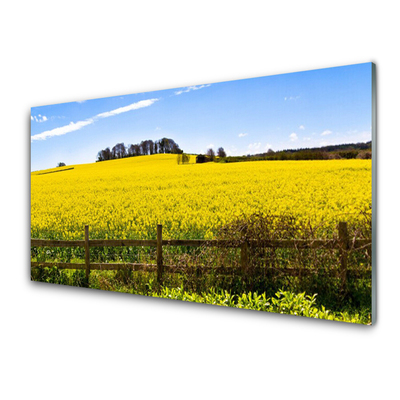 Stænkplade glas Field Plant Landscape