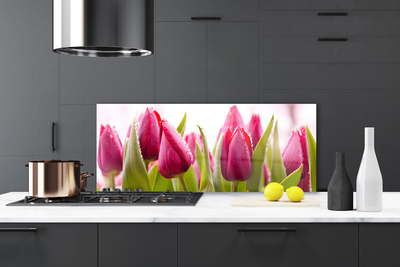 Stænkplade glas Tulipaner Blomster Plante