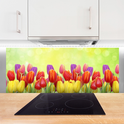 Stænkplade Tulipaner Blomster Planter