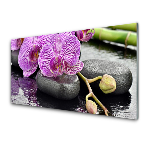 Stænkplade køkken Orchid Zen Orchid Spa