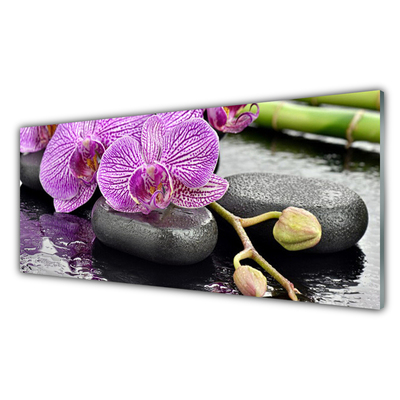 Stænkplade køkken Orchid Zen Orchid Spa