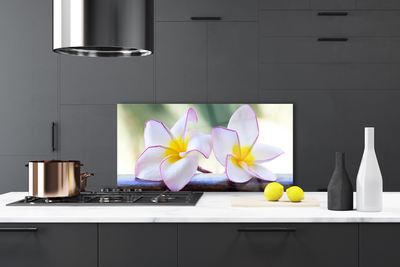 Vægpanel køkken Blomster Kronblade Plumeria