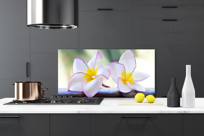 Vægpanel køkken Blomster Kronblade Plumeria