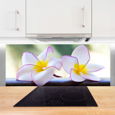 Vægpanel køkken Blomster Kronblade Plumeria