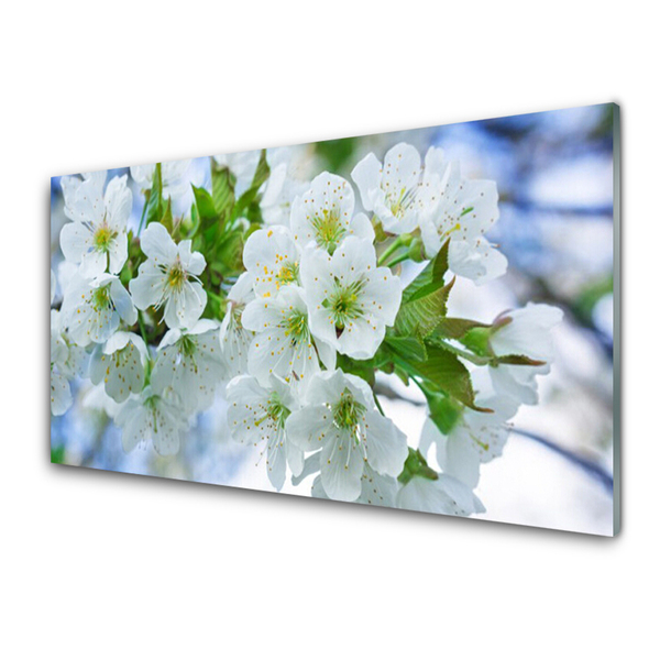 Stænkplade Blomster Træ Blade Natur