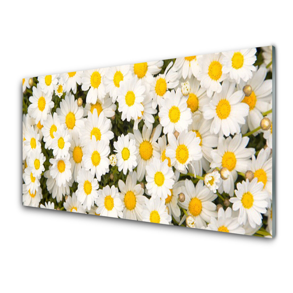 Vægpanel køkken Daisy Flowers